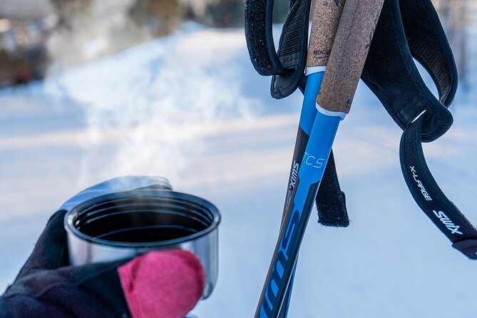 Learn Nordic Skiing - Private Class with Professional Instructor - Equipment: Rental Is Optional, but It Affects Your Comfort Fast