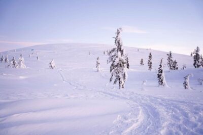 Levi: Backcountry Skiing Adventure - The 3.5-hour flow: from Sirkka pickup to secret photo stop