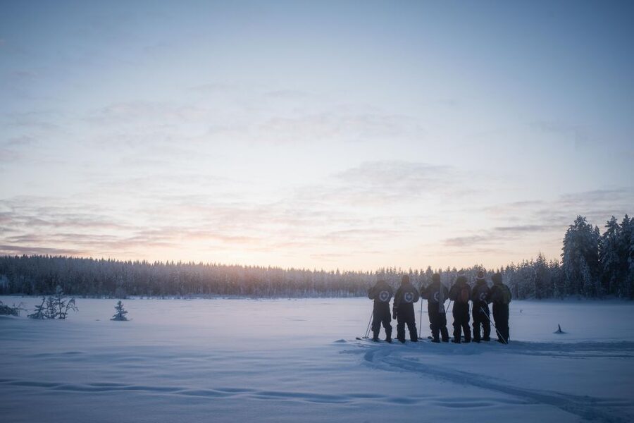 Levi: Backcountry Skiing Adventure - Wildlife odds and what to expect if you don’t see animals