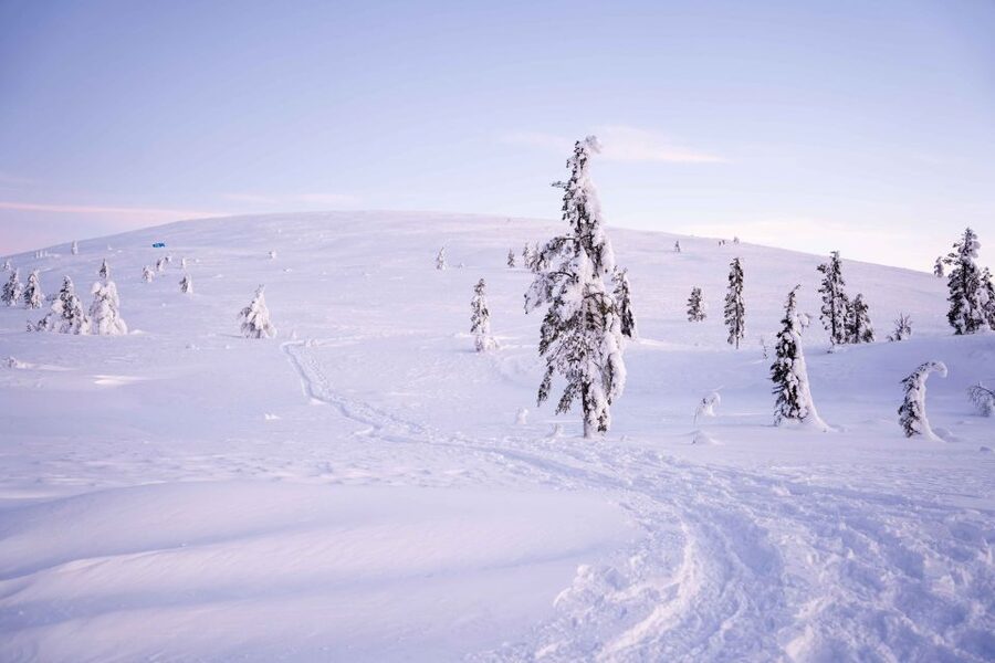 Levi: Backcountry Skiing Adventure - The 3.5-hour flow: from Sirkka pickup to secret photo stop