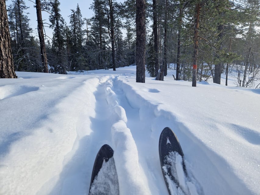 Luleå: Nordic Touring Skiing Adventure - Nordic Touring Skis: Why This Feels Easier Than Classic Cross-Country