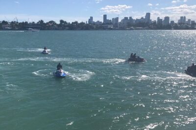 Miami Jet Ski Rental: chase the Ocean, ride the Waves - Dolphin chances: when to look and what to expect