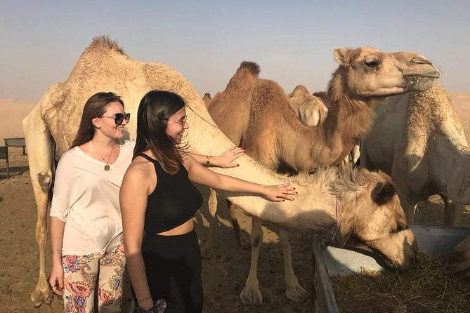 Morning Desert Safari with Camel Ride & Sand Skiing Private Tours - Key things to know before you go