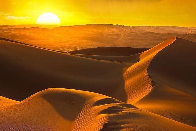 Morning Desert Safari with Camel Ride & Sand Skiing Private Tours - 4x4 Land Cruiser Dune Bashing: The Thrill With a Safety Reality Check