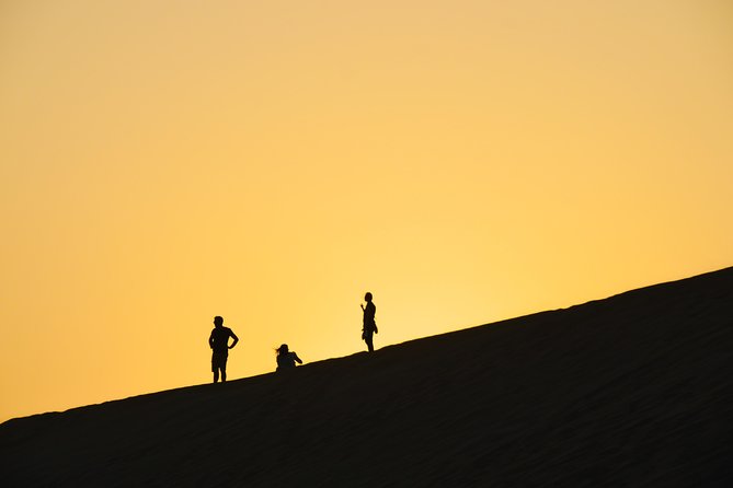 Morning Desert Safari with Camel Ride & Sand Skiing Private Tours - Camel Farm Stop and Camel Ride Session: Worth It, But Manage Expectations