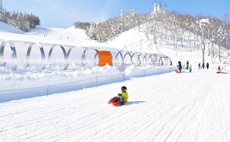 Mt. Fuji Skiing Experience- YETI Ski Resort & Onsen Day Trip - Should You Book This YETI Ski Resort and Onsen Day Trip?