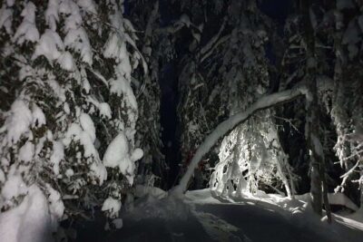 Nocturnal Skiing: Experience the Arctic's Magic - Who this tour fits best (and who should choose a different night)