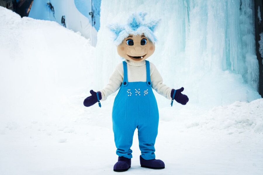 Oslo: Day Pass for Downhill Skiing at SNØ Ski Dome - Ski school and private lessons: when you want coaching