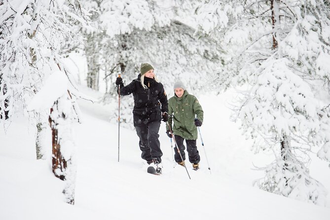 Premium Wilderness Skiing in Pyhä-Luosto National Park - Key things that make this tour worth it