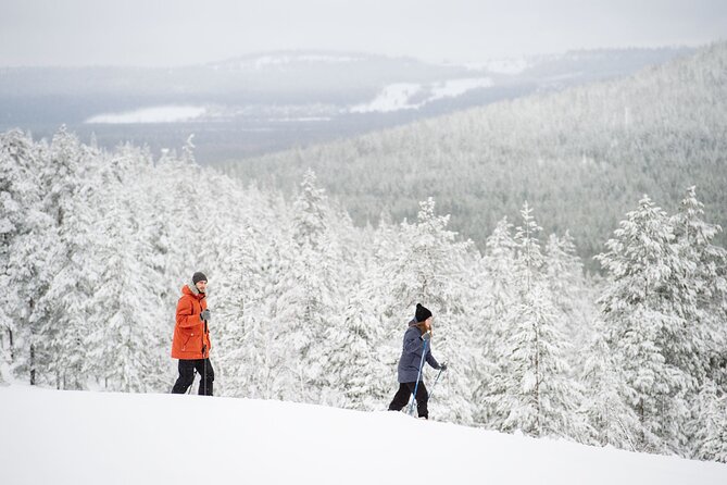 Premium Wilderness Skiing in Pyhä-Luosto National Park - Your 10:00 Start at Camp Kitchen & Bar Pyhätunturi
