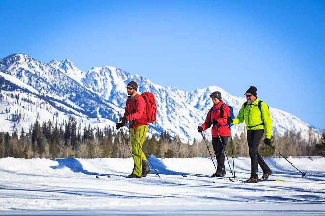 Private 4 Hour Beginner Cross Country Skiing in Grand Teton - Key things I’d write on a sticky note
