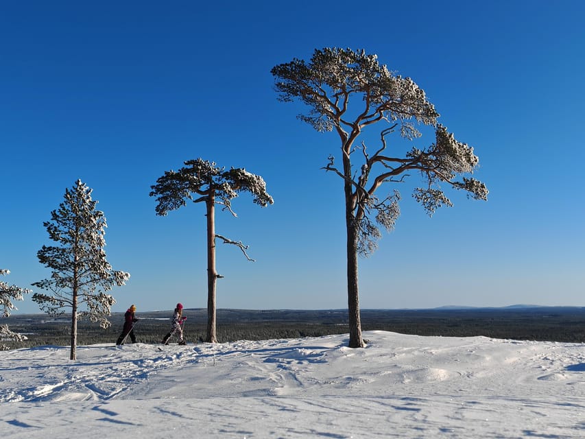 Pyhätunturi: Try Wilderness Skiing in Finnish Lapland - Gliding into Pyhä-Luosto National Park: what that 2-hour ski block feels like
