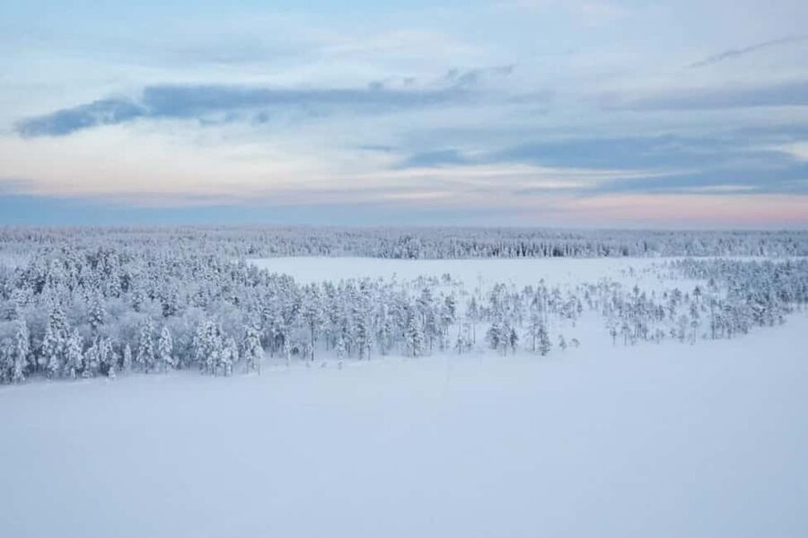 Rovaniemi: Cross-Country Skiing Adventure with Guide - Key things that make this tour worth your time