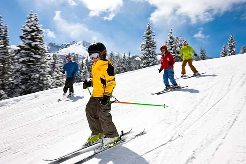 Rovaniemi: Slalom and Alpine Skiing - Who This Tour Fits Best (and Who Should Rethink It)