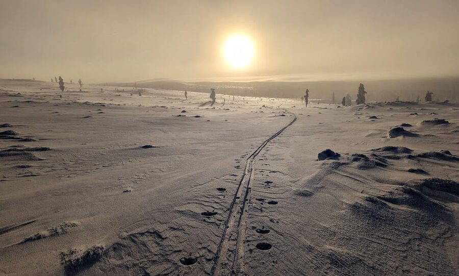 Saariselkä: Back-Country Skiing Guided Tour - Key highlights that make this tour worth it