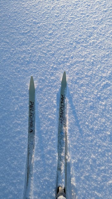 Saariselkä: Back-Country Skiing Guided Tour - Back-Country Freedom in Saariselkä’s Forests and Fells
