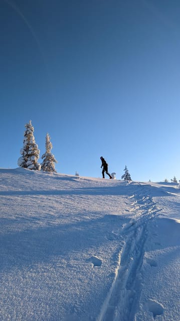 Saariselkä: Back-Country Skiing Guided Tour - Route Choice Outside the Marked Trails
