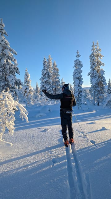 Saariselkä: Back-Country Skiing Guided Tour - Who This Tour Fits Best (and Who Might Feel Miserable)