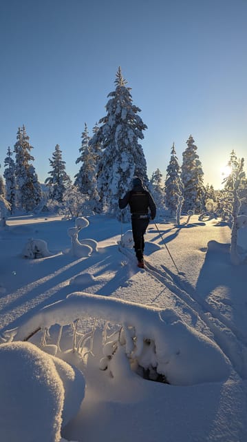 Saariselkä: Back-Country Skiing Guided Tour - Meet Your Guide, Then Get Fitted With Back-Country Skis