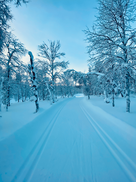Saariselkä: Cross-Country Skiing for beginners - Gear check: why good boots and skis make you learn faster