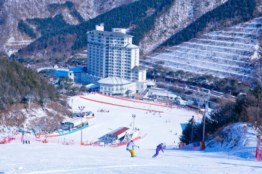 Seoul: Elysian Gangchon Winter Ski Resort Fun Day Tour - Return Trip: Getting Back Before You’re Too Tired to Care