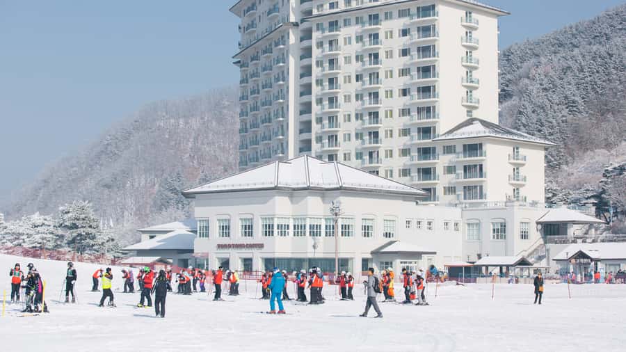 Seoul: Elysian Gangchon Winter Ski Resort Fun Day Tour - Price Value: What $15 Buys (and What It Doesn’t)