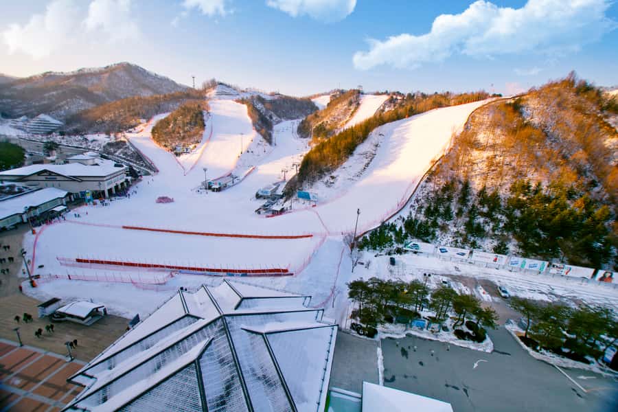 Seoul: Elysian Gangchon Winter Ski Resort Fun Day Tour - Who This Tour Is Perfect For (and Who Should Think Twice)