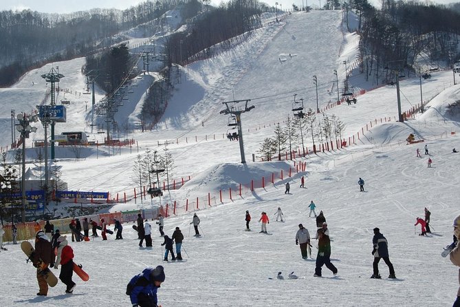Ski Tour to Jisan Ski Resort from Seoul - Pick your style: Snow Tour, Snow Slide, or the Ski Tour upgrade