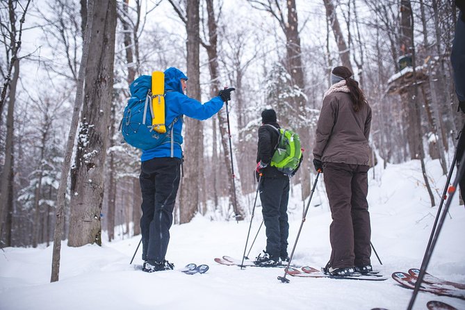 Skiing (Hok Ski) Excursion in Jacques-Cartier National Park - Gear and Training: How You Learn to Move Before the Hard Parts