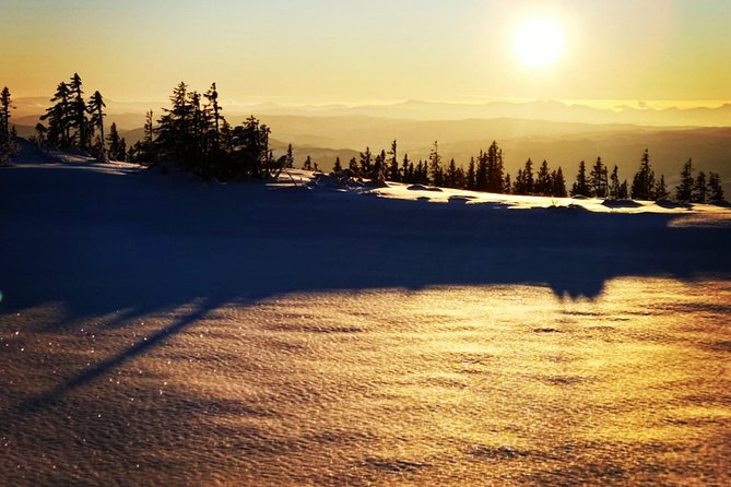Skiing in winter wonderland - A short outing that turns winter into motion
