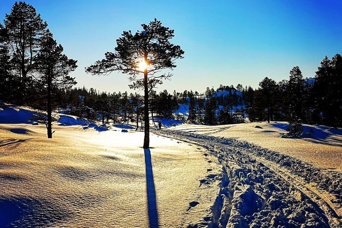Skiing in winter wonderland - Beginner help that’s hands-on, not vague
