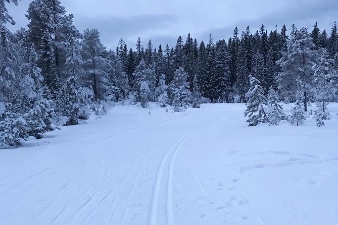 Skiing in winter wonderland - Value: what you’re paying for at $232.82