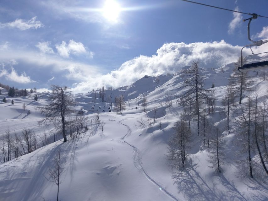 Skiing with Instructor: Vogel Ski Center from Bled - Beginner route: from first control to confident turns