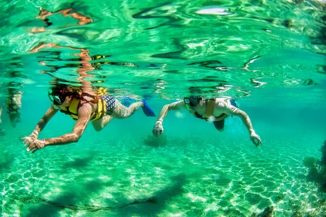Speedboat across the Mangroves & Snorkel with Jet Ski Rental - My Decision Guide: Should You Book This in Cancun?