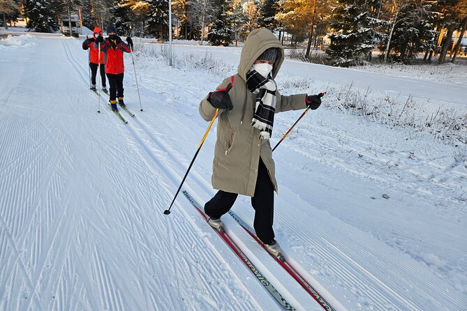 Traditional Sight-Skiing Experience in Kemi - Logistics That Matter: Meeting Point, Group Size, and Timing