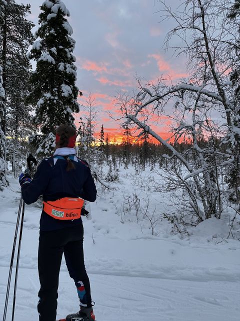 Tromsø: Cross Country Guided Skiing Course - Key things that make this course worth your time