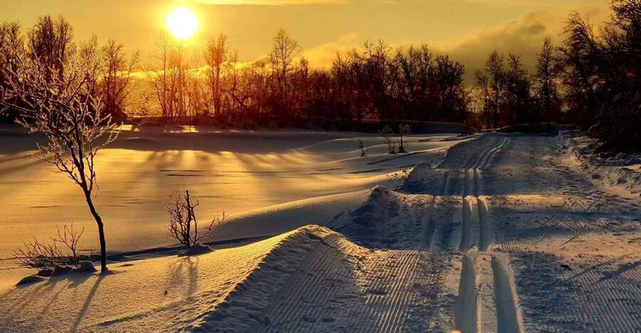 Tromsø: Cross Country Guided Skiing Course - Who should book this course (and who should skip it)