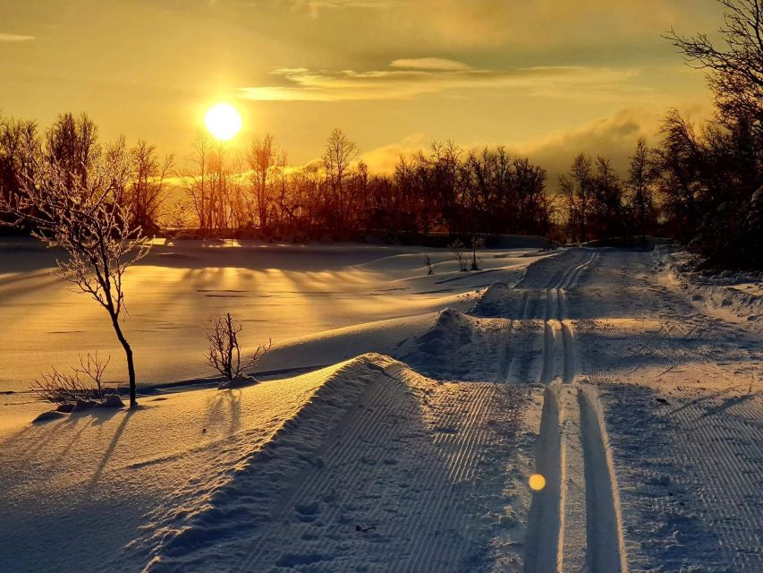 Tromsø: Cross Country Guided Skiing Course - Meeting at Charlottenlund Aktivitetspark: simple in theory, easier with a plan