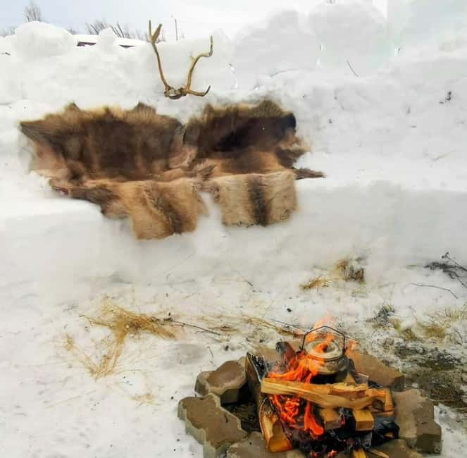 Tromsø: Sledding, Toboggan, Mini Skiing, Lasso & Arctic Fun - Where You Meet: Charlottenlund Park and the Tromsø Start Point