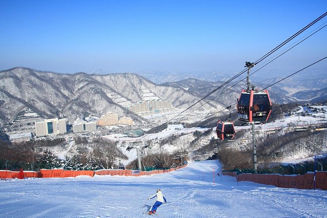Vivaldi Park Winter Ski Resort with Nami Island Tour from Seoul - Key highlights you can plan around