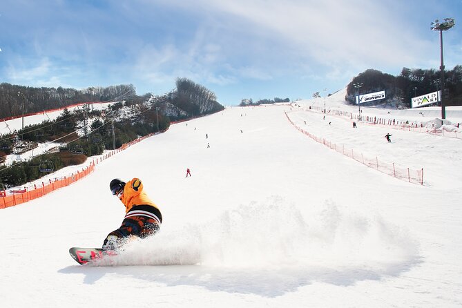 Vivaldi Park Winter Ski Resort with Nami Island Tour from Seoul - Getting to the mountain without the Seoul stress