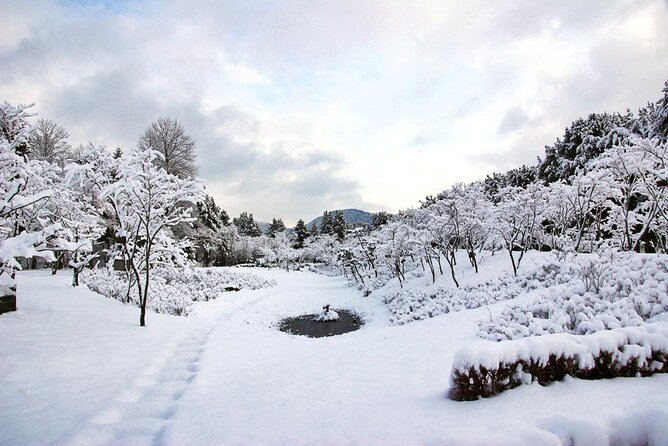 Vivaldi Park Winter Ski Resort with Nami Island Tour from Seoul - On-slope reality: how the 1-hour lesson and timing add up