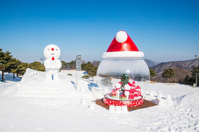 Vivaldi Park Winter Ski Resort with Nami Island Tour from Seoul - Small-group flow: what to expect from the staff and schedule