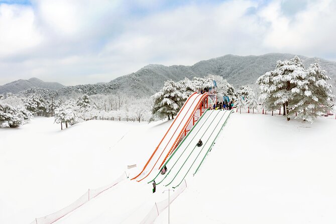 Vivaldi Park Winter Ski Resort with Nami Island Tour from Seoul - Who this tour is best for (and who should rethink it)