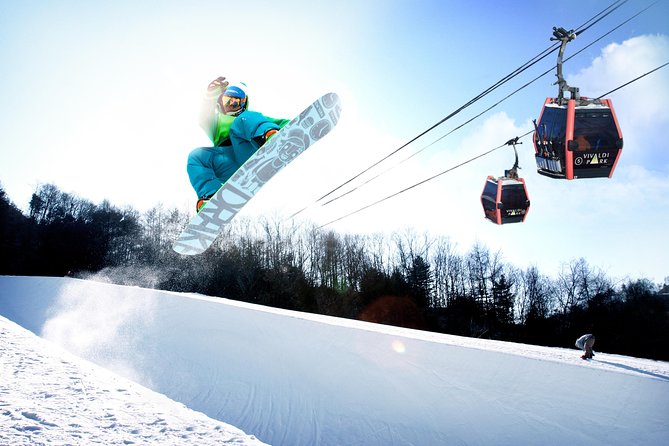 Vivaldi Park Winter Ski Resort with Nami Island Tour from Seoul - Choosing your package: shuttle-only vs ski vs snowboard vs sled