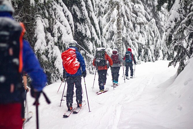 Whistler Intro to Backcountry Skiing and Splitboarding - Your 8:30am Start at RMU Whistler (No Hotel Pickup)