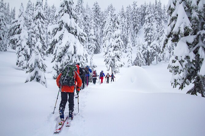 Whistler Intro to Backcountry Skiing and Splitboarding - Improving Your Turns: Skiing and Splitboarding Coaching