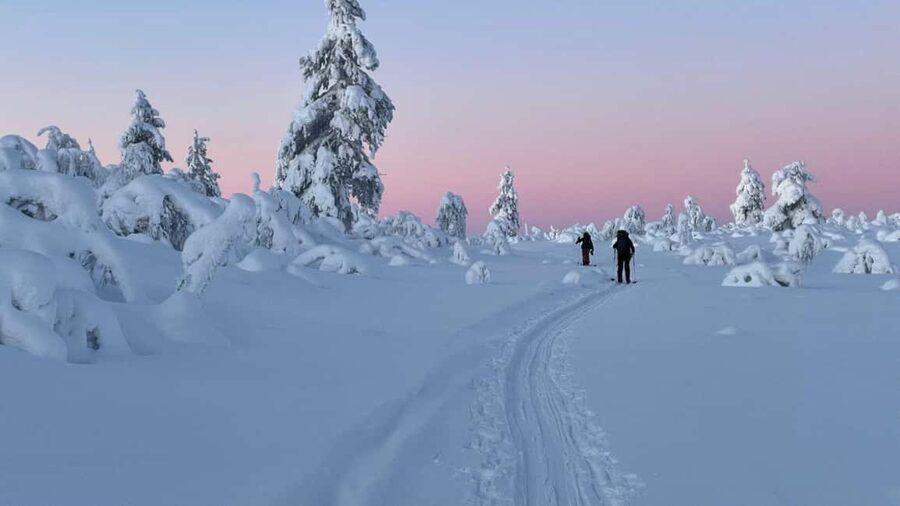 Ylläs: Guided Nordic Skiing Tour in Lapland Wilderness - Meeting the day at Yllästunturi Visitor Centre (Kellokas parking)