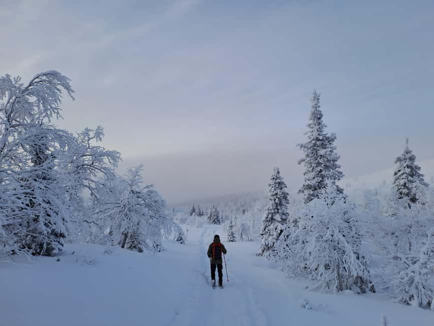 Ylläs: Guided Nordic Skiing Tour in Lapland Wilderness - The van ride to Pallas-Yllästunturi National Park (and why it matters)