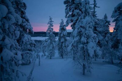Ylläs: Guided Nordic Skiing Tour in Lapland Wilderness - Equipment and technique: what you’ll practice in the first stretch